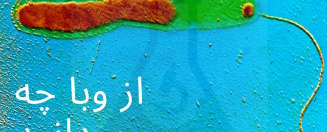 بیماری وبا