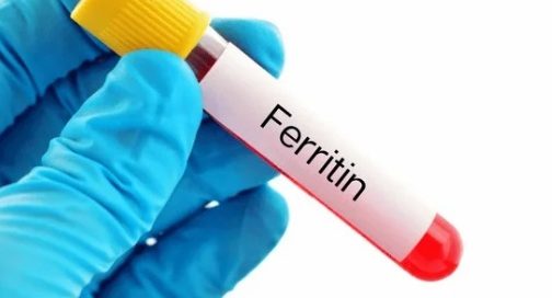 آزمایش فریتین خون